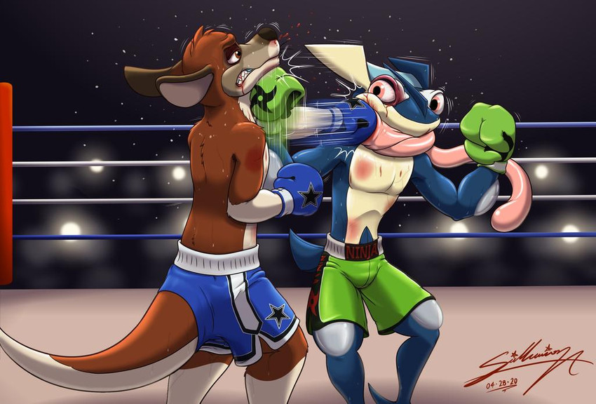 anthro blue_bottomwear blue_clothing blue_shorts bottomwear boxing boxing_gloves clothing duo fighting_ring green_bottomwear green_clothing green_shorts handwear male punch shorts sport sagadreams nintendo pokemon generation_6_pokemon greninja kangaroo macropod mammal marsupial pokemon_(species)