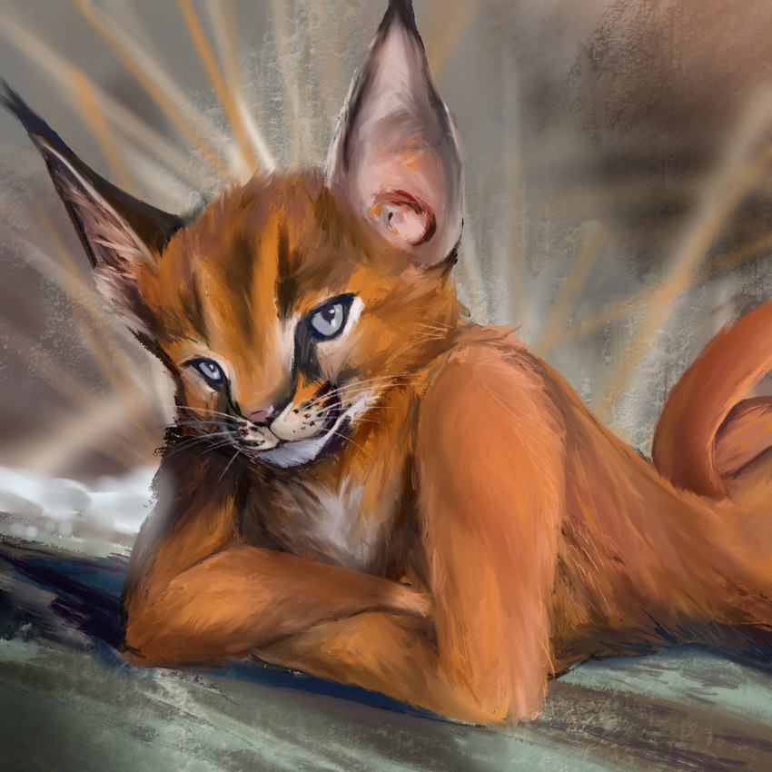 anthro blurred_background detailed_background fur looking_at_viewer lying male on_front orange_body orange_fur solo stampmats caracal caracal_(genus) felid feline lynx mammal 1:1 hi_res