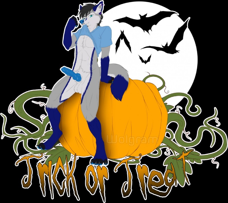 ambient_silhouette anthro blue_penis clothed clothing erection food fruit genitals grin group holidays knot male midriff moon paws penis plant presenting pumpkin shirt silhouette sitting_on_pumpkin smile solo_focus topwear vines zarkayrin halloween nik_(darkfawks) ambient_bat ambient_flier bat canid canine canis coyote fox hybrid mammal