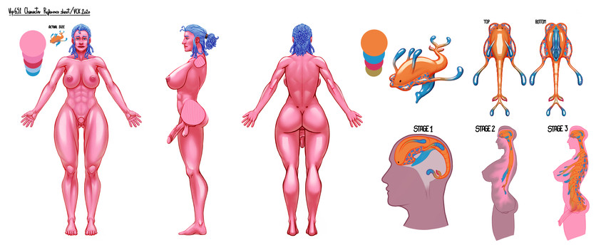 balls blue_eyes blue_hair breasts butt front_view genitals hair herm internal intersex muscular muscular_herm muscular_humanoid muscular_intersex nipples nude parasite penis ponytail pussy rear_view side_view simple_background solo text vck daemian_(vip651) gastropod goo_creature humanoid mollusk slug 2020 absurd_res english_text hi_res model_sheet