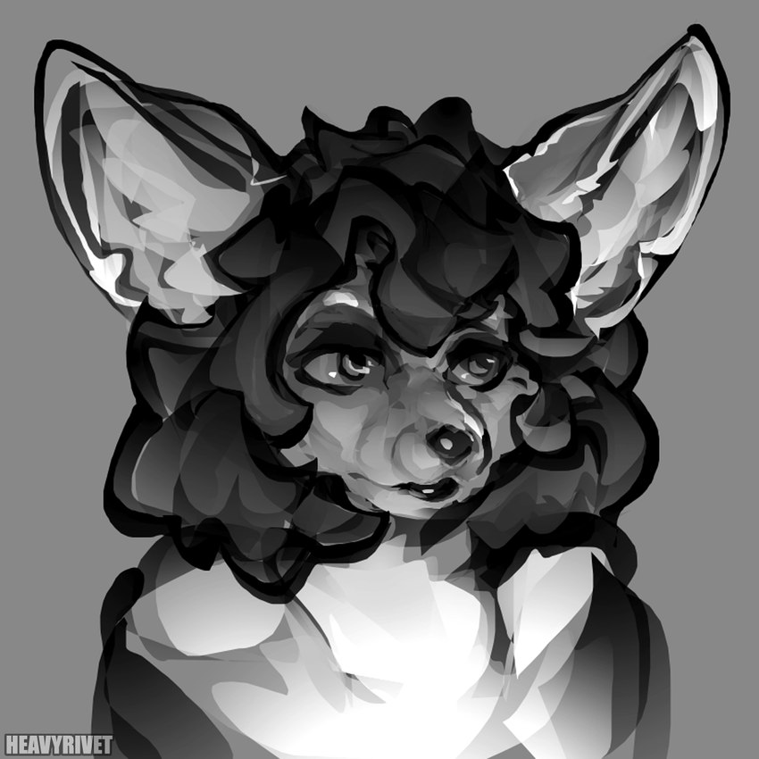 anthro big_ears blank_expression female hair solo heavyrivet noire canid canine fennec_fox fox mammal true_fox bust_portrait digital_media_(artwork) hi_res monochrome portrait sketch