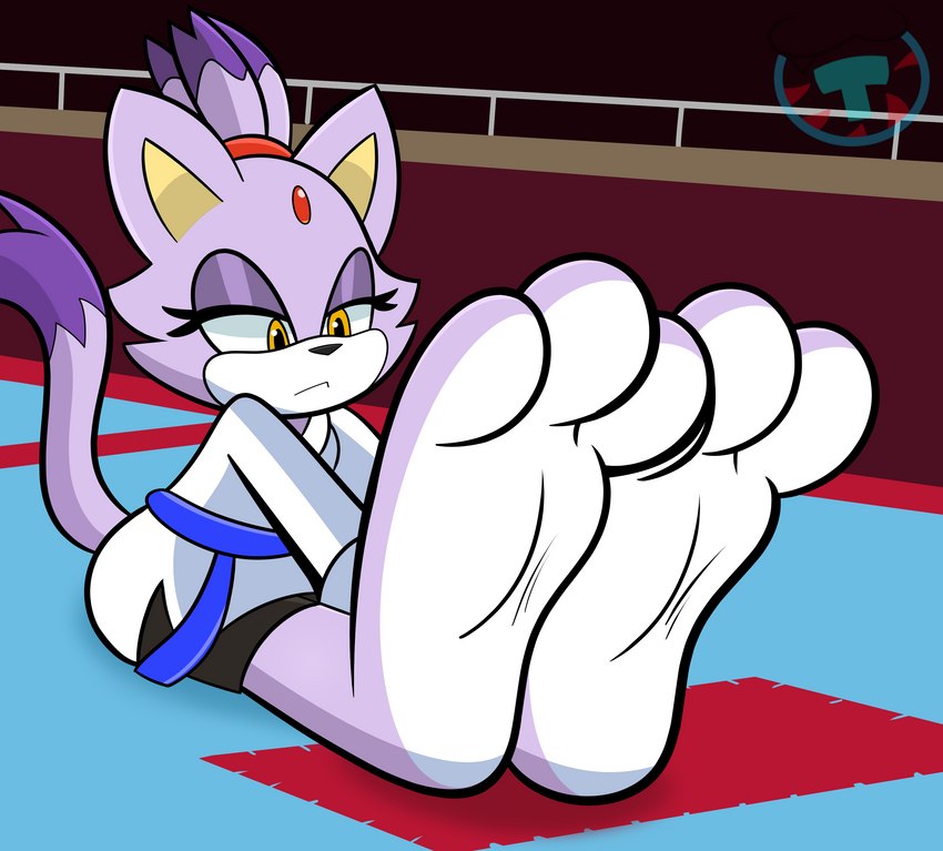 3_toes anthro barefoot big_feet countershade_feet countershading exercise feet female foot_focus fur hindpaw keikogi martial_arts_uniform paws purple_body purple_fur sitting soles solo sportswear stretching tail toes white_soles yellow_eyes mintytempest sega sonic_the_hedgehog_(series) blaze_the_cat domestic_cat felid feline felis mammal absurd_res hi_res