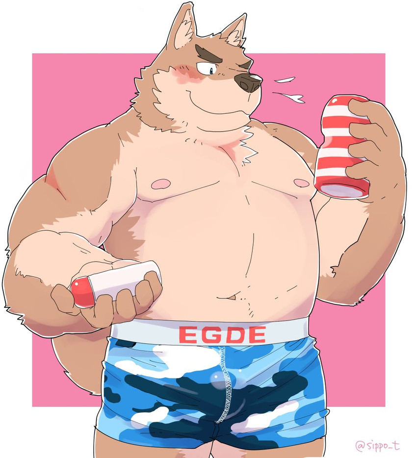 anthro blush brown_body brown_fur bulge clothing fur kemono male navel nipples overweight overweight_anthro overweight_male penetrable_sex_toy sex_toy solo underwear sippo tenga tenga_egg canid canine canis domestic_dog mammal 2020