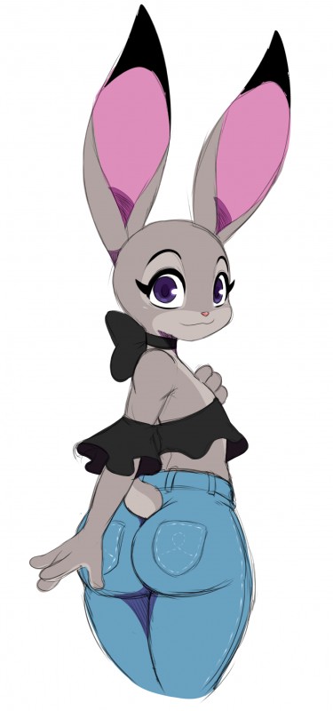 judy hopps (zootopia and etc) created by sssonic2