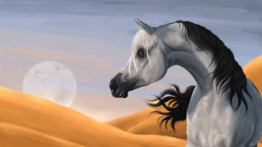 ambiguous_gender black_mane blue_eyes day dunes feral mane mouth_closed outside sky solo white_body white_mane scarlanya sereno_(scarlanya) arabian_horse equid equine horse mammal 16:9 widescreen male_(lore)