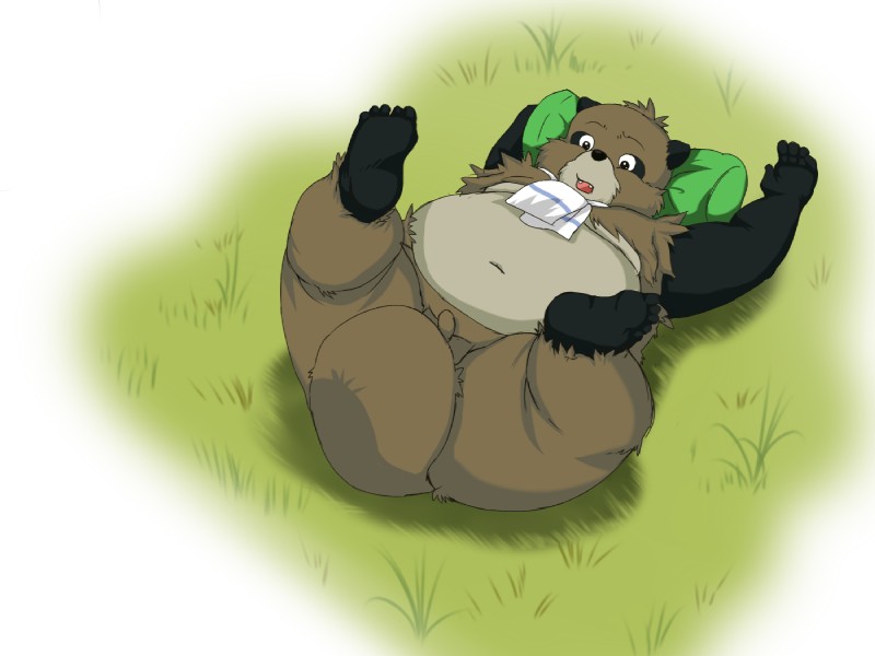 anthro balls belly brown_body brown_fur fur genitals humanoid_hands male moobs navel overweight overweight_anthro overweight_male penis scarf solo inunoshippo kusunokisippo ghibli pom_poko ponkichi canid canine mammal raccoon_dog tanuki 2011 4:3