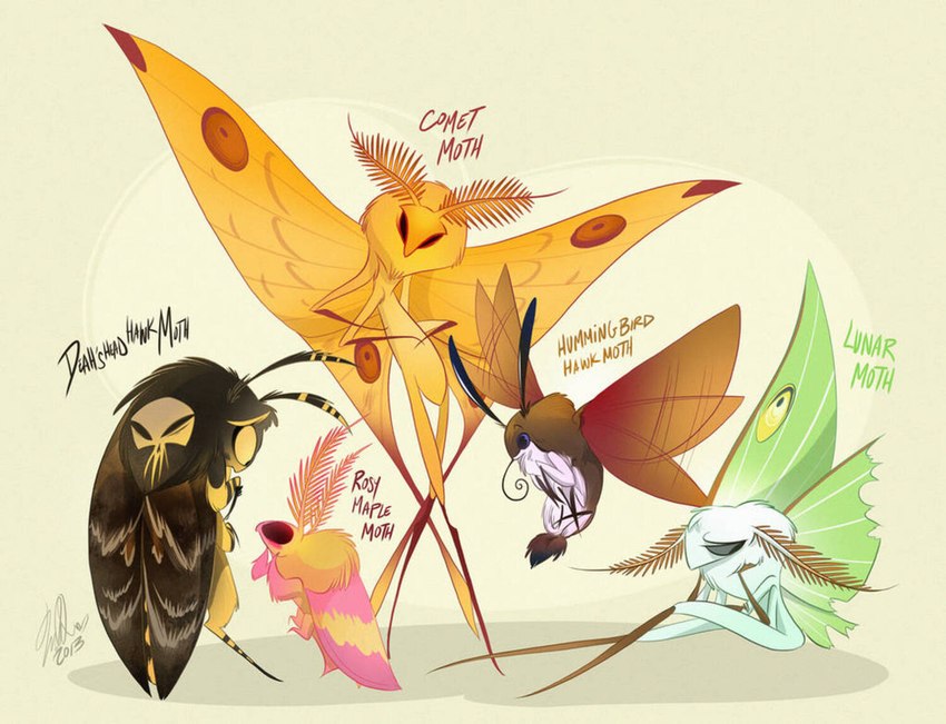 6_limbs ambiguous_gender antennae_(anatomy) anthro black_body broken_wing brown_body flapping_wings flying green_body group insect_wings lepidopteran_wings looking_at_another markings pink_body proboscis_(anatomy) sad shadow simple_background sitting skull_symbol spots spotted_body standing striped_body stripes text white_background wings yellow_body vivzmind arthropod comet_moth death's-head_hawkmoth hawk_moth hummingbird_moth insect lepidopteran luna_moth moth rosy_maple_moth saturniid 2013 english_text signature