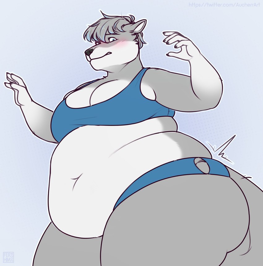 anthro belly belly_overhang big_belly big_breasts black_nose blue_bra blue_clothing blue_eyes blue_hair blue_panties blue_underwear blush bra breasts clothing female fur grey_body grey_fur grey_hair hair looking_at_clothing looking_at_object looking_at_self navel overweight overweight_anthro overweight_female panties short_hair solo tail thick_thighs torn_clothing underwear white_body white_fur wide_hips worried aucherr schae_(bigschaefer) canid canine canis mammal wolf 2024 absurd_res hi_res