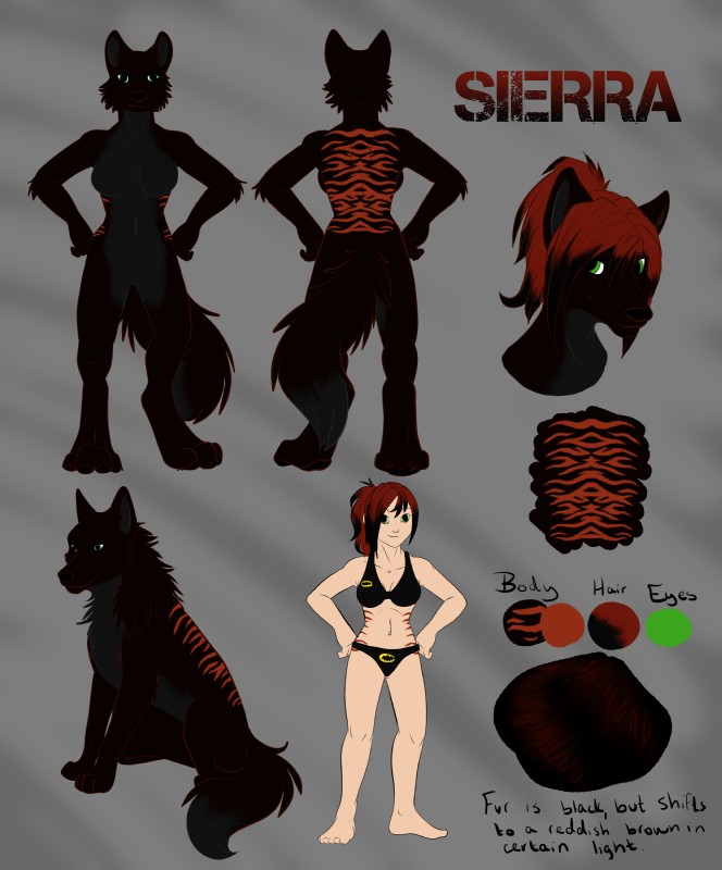 anthro black_body black_fur bra clothing color_swatch female feral fur green_eyes grey_body grey_fur group hair markings panties ponytail red_hair red_markings side_view text underwear runicnature sierra_blakely canid canine canis human mammal wolf 2013 absurd_res digital_media_(artwork) english_text full-length_portrait hi_res model_sheet portrait