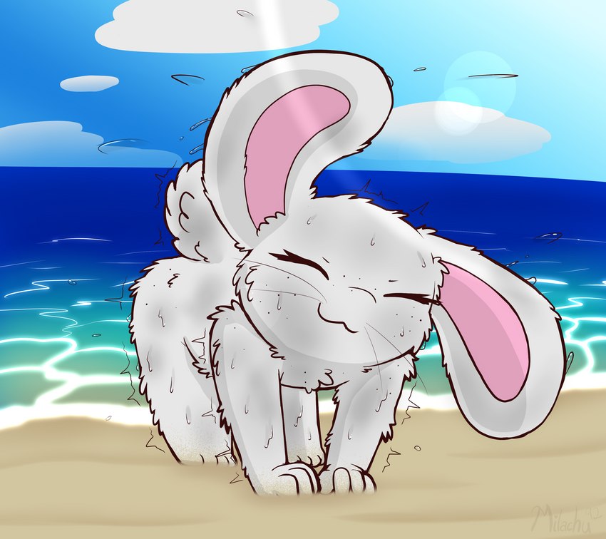 all_fours anthro beach drying drying_fur eyes_closed female fur pink_inner_ear sea seaside shaking shaking_off_water smile solo water wet whiskers white_body white_fur milachu92 lantha lagomorph leporid mammal rabbit absurd_res hi_res