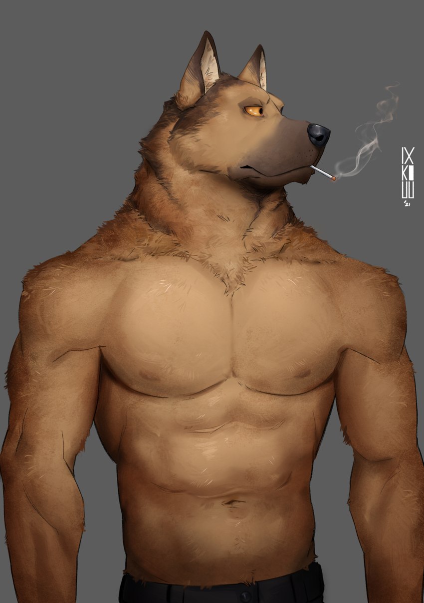 anthro bottomwear cigarette clothing fur male muscular muscular_anthro muscular_male nipples pecs simple_background smoking solo ixkouu canid canine canis domestic_dog german_shepherd herding_dog mammal pastoral_dog 2021 digital_media_(artwork) hi_res