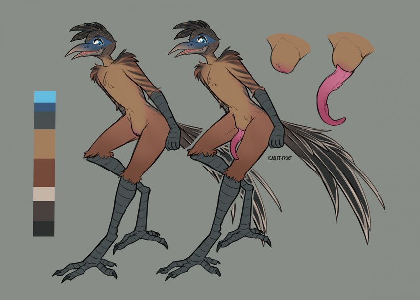 4_toes animal_genitalia anthro beak blue_eyes claws feathers feet genitals looking_at_viewer male nude penis scuted_arms scuted_legs scutes sheath simple_background solo tapering_penis toes zygodactyl scarlet-frost avian bird cuculiform new_world_ground_cuckoo roadrunner hi_res model_sheet