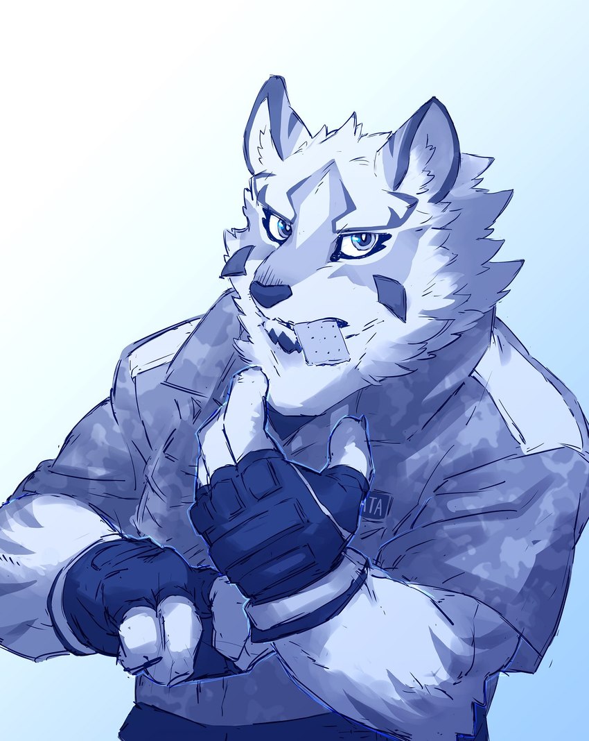 anthro camo camo_clothing camo_print clothing cracker eating fingerless_gloves food gloves handwear male military_uniform pattern_clothing solo uniform sakuhuu lifewonders live_a_hero sadayoshi canid canine mammal blue_theme hi_res