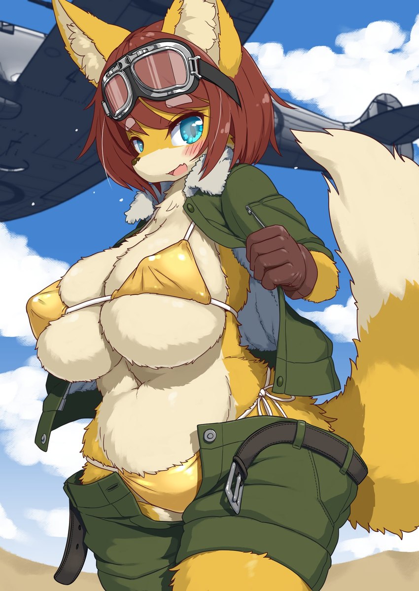 aircraft airplane anthro big_breasts bikini blue_eyes blue_sky blush bottomwear bra breasts brown_hair cleavage clothed clothing cloud curvy_figure eyebrows eyewear eyewear_on_head female female_anthro gloves goggles goggles_on_head gold_bikini hair handwear huge_breasts inner_ear_fluff jacket kemono looking_at_viewer military_jacket multicolored_body nipple_outline pilot_jacket shorts sky slightly_chubby solo standing swimwear tail thick_eyebrows thick_thighs topwear tuft two-piece_swimsuit two_tone_body underwear vehicle voluptuous white_body wide_hips yellow_body koorinezumi hana_(keep0621) canid canine fox mammal hi_res