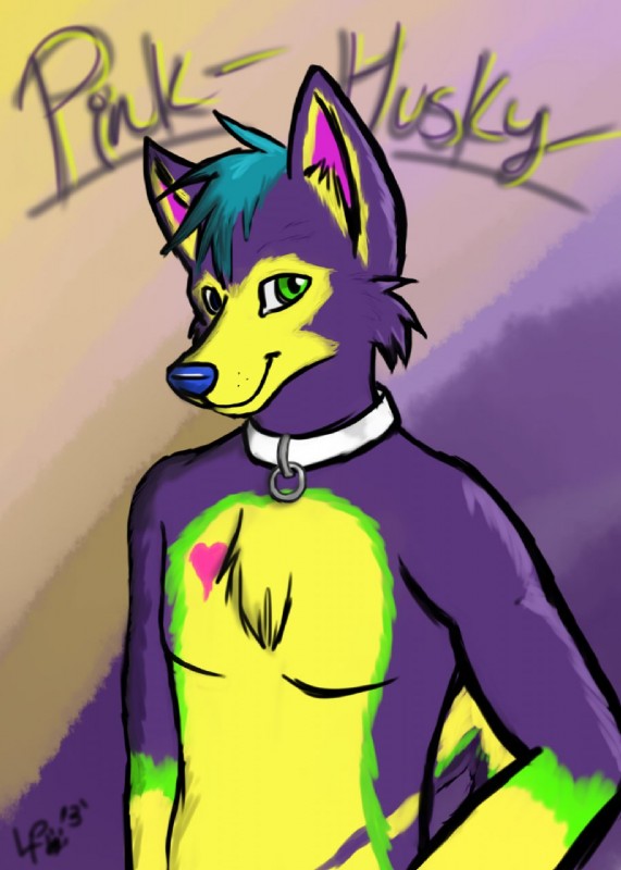 abstract_background anthro blue_eyes blue_hair blue_nose collar countershade_border fur green_eyes hair heart_symbol heterochromia male pink_body pink_fur purple_body purple_fur simple_background solo sparklefur yellow_body yellow_fur lexipup pinki-husky canid canine canis domestic_dog husky mammal nordic_sled_dog spitz 2013 colorful_theme hi_res