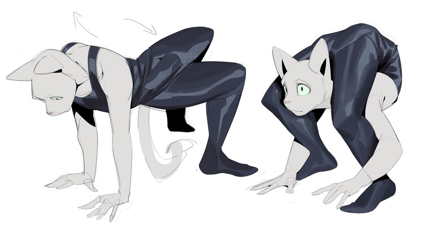 anthro back_twist backbend bodysuit bulge clothing contortionism detailed_bulge flexible folded fur genital_outline latex male penis_outline ruppel_backbend skinsuit solo tight_clothing white_body white_fur cxcxxcxxxx domestic_cat felid feline felis mammal absurd_res hi_res