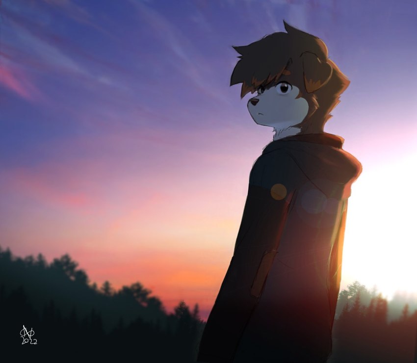 anthro black_nose clothing countershade_face countershading fur grey_body grey_fur hoodie lens_flare looking_back male rear_view sky solo standing sunset topwear 00niine nate_(00niine) canid canine canis domestic_dog mammal 2022 digital_media_(artwork) signature