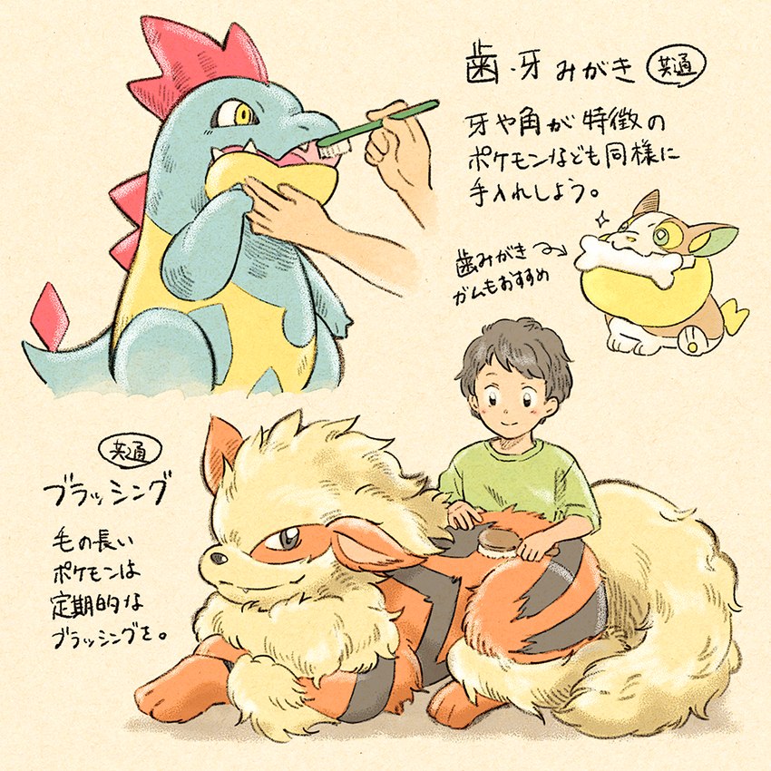 5_fingers ambiguous_gender bone brush brushing clothed clothing feral fingers fur hair male quadruped tail text toothbrush koike_09 nintendo pokemon arcanine canid canine croconaw generation_1_pokemon generation_2_pokemon generation_8_pokemon human mammal pokemon_(species) scalie yamper 1:1 2020 japanese_text