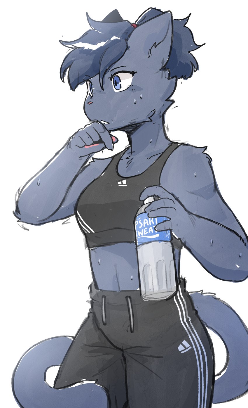 after_exercise anthro blue_hair bodily_fluids bottomwear bra clothing female hair pants pawpads ponytail solo sports_bra sportswear sweat sweatdrop underwear conditional_dnp sonokido pocari_sweat ventura_city_drifters alina_scratch domestic_cat felid feline felis mammal russian_blue absurd_res hi_res