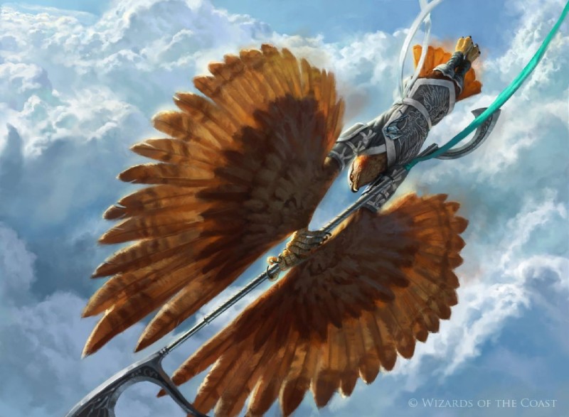 armor diving feathered_wings feathers flying holding_object holding_weapon low-angle_view male melee_weapon outside polearm sky skyscape solo warrior weapon winged_arms wings worm's-eye_view jason_rainville hasbro magic:_the_gathering wizards_of_the_coast aven avian bird official_art watermark