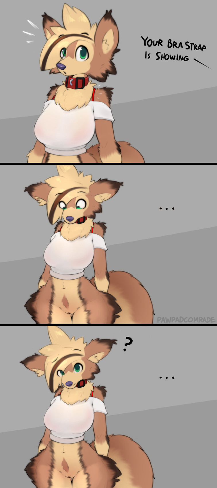anthro arm_tuft bare_shoulders big_breasts black_text bottomless bottomless_anthro bottomless_female bra breasts brown_body brown_fur butt butt_from_the_front casual_nudity chest_tuft clothed clothing collar confusion dialogue ellipsis eye_through_hair eyebrow_through_hair eyebrows female female_anthro front_view fur genitals green_eyes hair highlights_(coloring) hip_tuft innie_vulva legs_together looking_at_viewer looking_down looking_down_at_self mouth_closed multicolored_body multicolored_fur navel offscreen_character partially_clothed pubes question_mark raised_eyebrow red_collar shoulder_tuft simple_background solo standing tan_body tan_fur text thick_thighs thigh_fur three_frame_image topwear translucent translucent_hair tuft underwear vulva white_clothing white_sclera white_topwear wide_hipped_anthro wide_hipped_female wide_hips conditional_dnp pawpadcomrade bra_strap_showing_(meme) nutmeg_(pawpadcomrade) canid canine canis domestic_dog mammal 2026 artist_name comic digital_media_(artwork) english_text hi_res meme