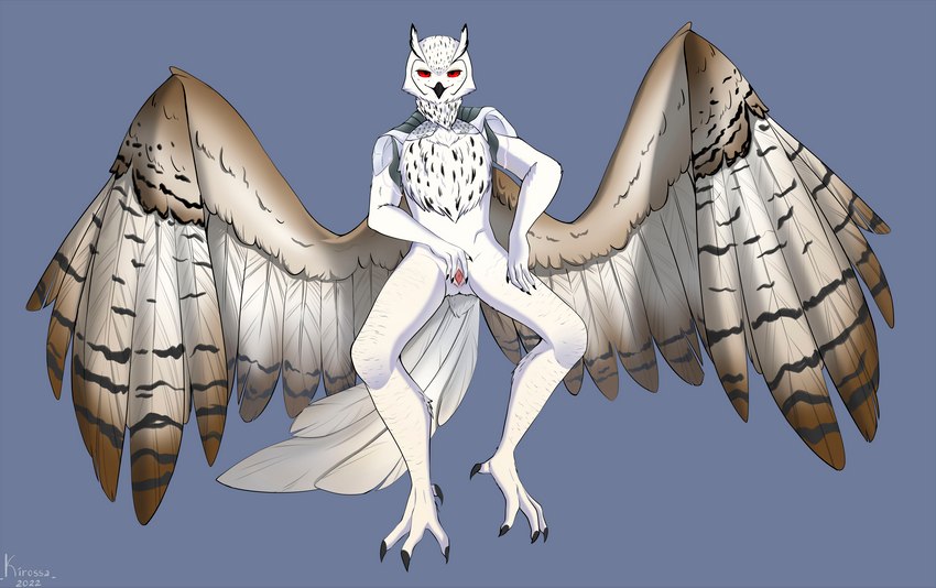 animal_genitalia anthro beak bedroom_eyes cloaca cybernetics feathered_wings feathers feet genitals half-closed_eyes machine male narrowed_eyes presenting presenting_cloaca red_eyes seductive solo spread_cloaca spread_legs spreading tail tail_feathers talons toes vertical_cloaca white_body white_feathers wings kirossa thieu_(thieutheowl) android avian bird cyborg horned_owl owl robot true_owl absurd_res hi_res