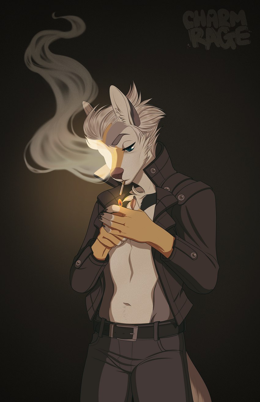 anthro burning cigarette clothing healing_magic jacket leather leather_clothing leather_jacket leather_topwear magic male smoking smoking_cigarette solo topwear charmrage howard_moth canid canine canis coyote mammal hi_res