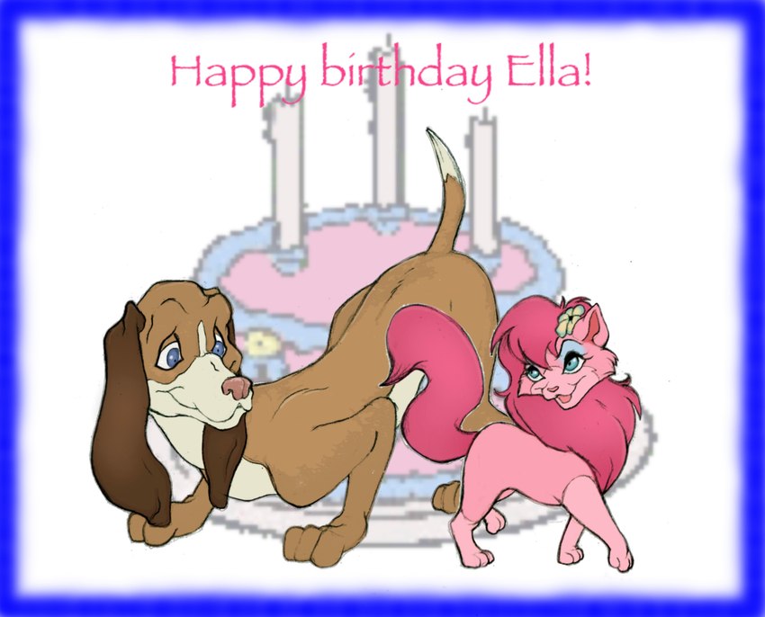 birthday brown_body brown_fur chest_tuft duo female feral flower fluffy fluffy_tail fur long_ears male male/female pink_body pink_fur plant tail tuft chewtoything tucker_the_dog canid canine canis domestic_cat domestic_dog felid feline felis hound_dog mammal ragdoll_cat absurd_res hi_res