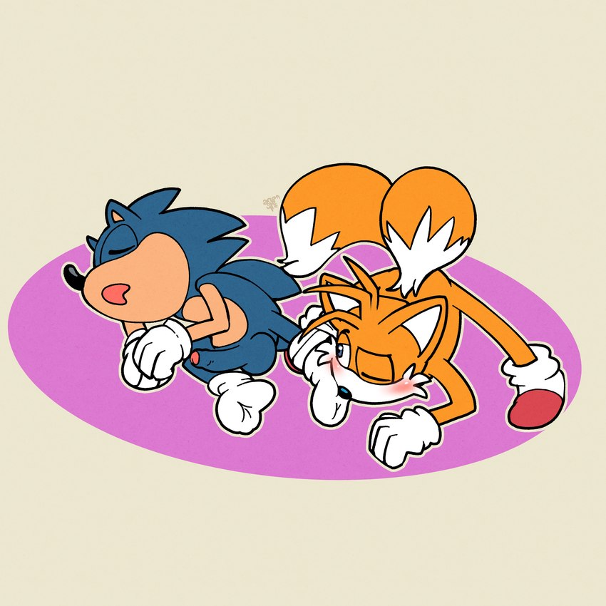 miles prower and sonic the hedgehog (sonic the hedgehog (series) and etc) created by argon vile