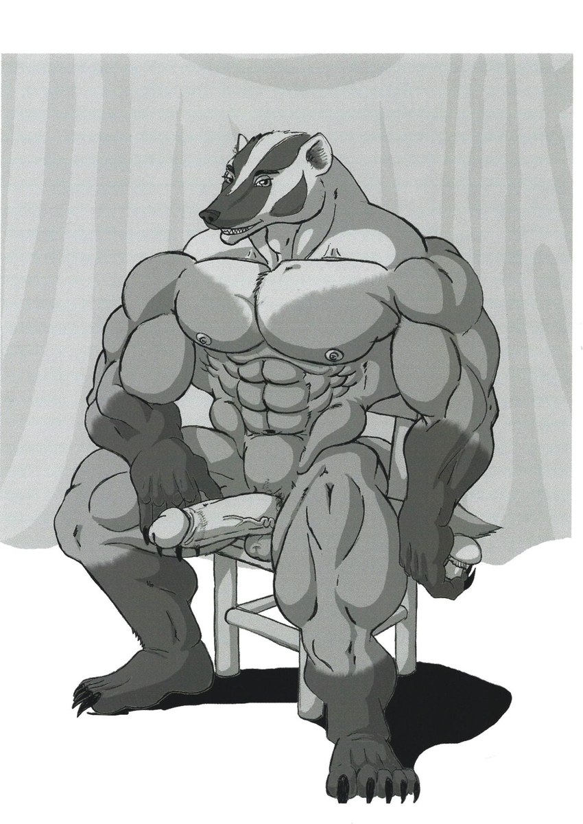 abs anthro big_muscles big_penis curtains furniture genitals humanoid_genitalia humanoid_penis male muscular muscular_male pecs penis sitting smile solo stool sudonym badger mammal mustelid musteline hi_res