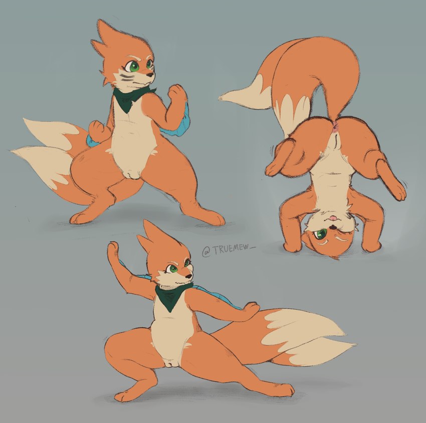 2_tails anthro anus butt determined female fighting_pose fin flat_chested fur genitals green_eyes multi_tail multiple_poses one_eye_closed orange_body orange_fur pose pussy scarf simple_background solo spread_legs spreading tail tail_anus tongue tongue_out upside_down wink truemew nintendo pokemon buizel generation_4_pokemon pokemon_(species) flat_colors hi_res