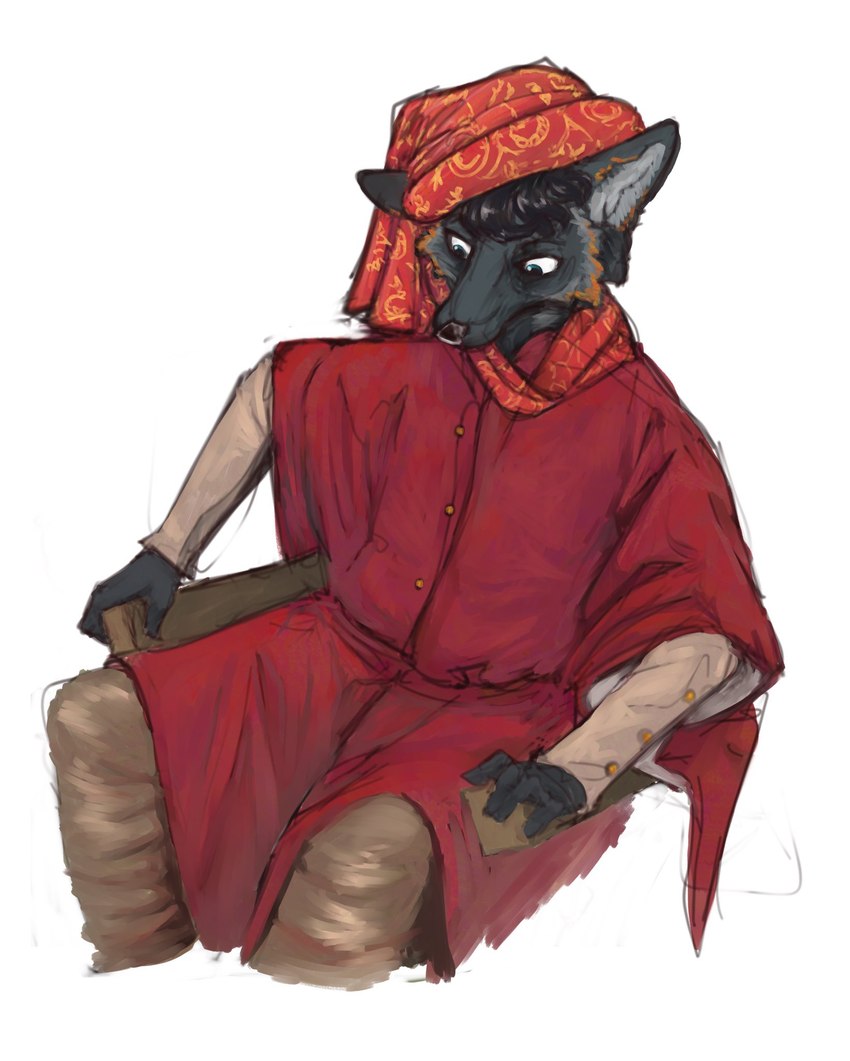 anthro buttoned_clothing clothing coat fur hair headdress male middle_eastern_clothing multicolored_body multicolored_fur simple_background sitting solo topwear banoncat banoncat_(character) canid canine fox mammal 2022 hi_res