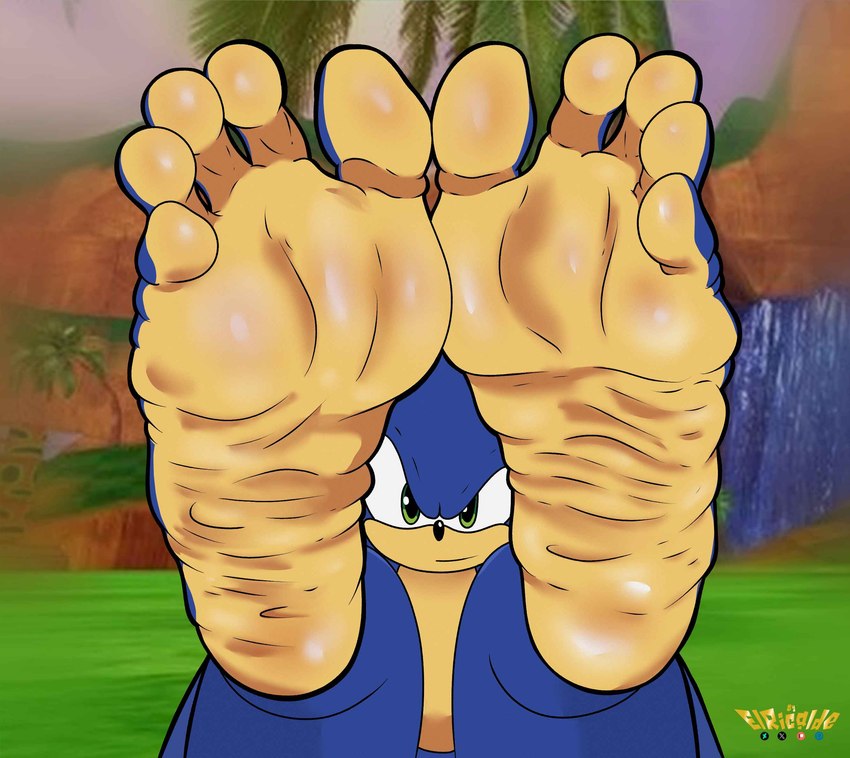 5_toes anthro blue_body feet feet_up foot_fetish foot_focus green_hill_zone humanoid_feet legs_up looking_at_viewer male male_feet multicolored_body plantigrade soles solo spread_toes toes two_tone_body two_tone_feet wrinkled_feet wrinkles elricalde sega sonic_the_hedgehog_(series) sonic_the_hedgehog eulipotyphlan hedgehog mammal hi_res