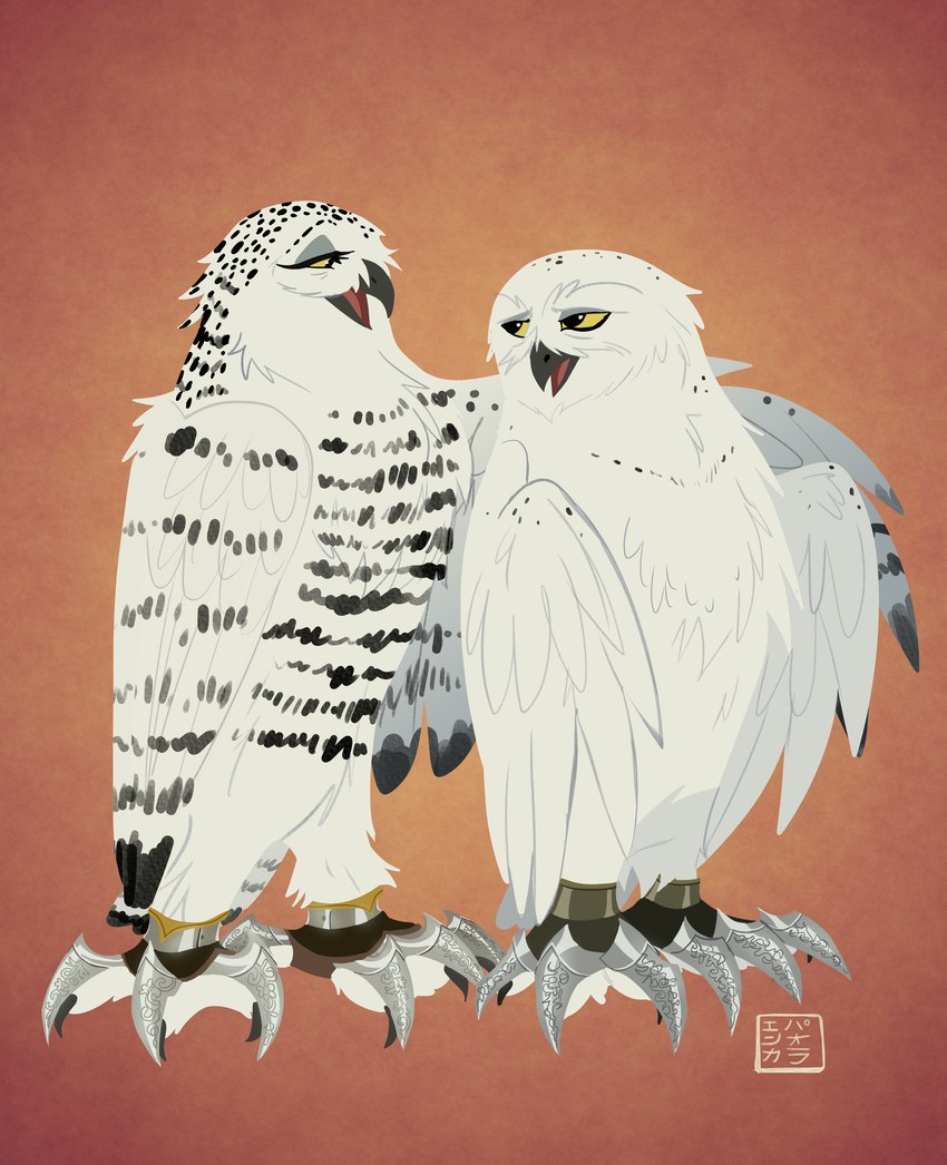 battle_claws duo feathers female feral male orange_background simple_background white_body white_feathers yellow_eyes kabuki-aku guardians_of_ga'hoole barran_(gogh) boron_(gogh) avian bird horned_owl owl snowy_owl true_owl absurd_res hi_res