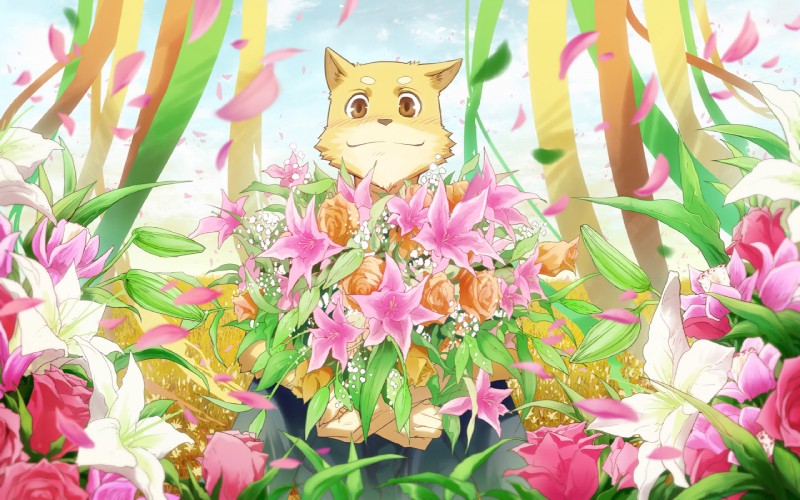 blush bud_(flower) field flower garden lily_(flower) male oriental_lily outside petals plant rose_(flower) smile solo koi_(artist) canid canine canis domestic_dog mammal 16:10 wallpaper widescreen