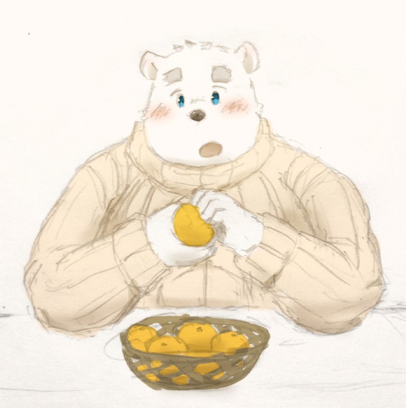 anthro blush clothing food fruit humanoid_hands male overweight overweight_anthro overweight_male plant simple_background solo sweater topwear maron2475 utau shirane_kan bear mammal polar_bear ursine 2018