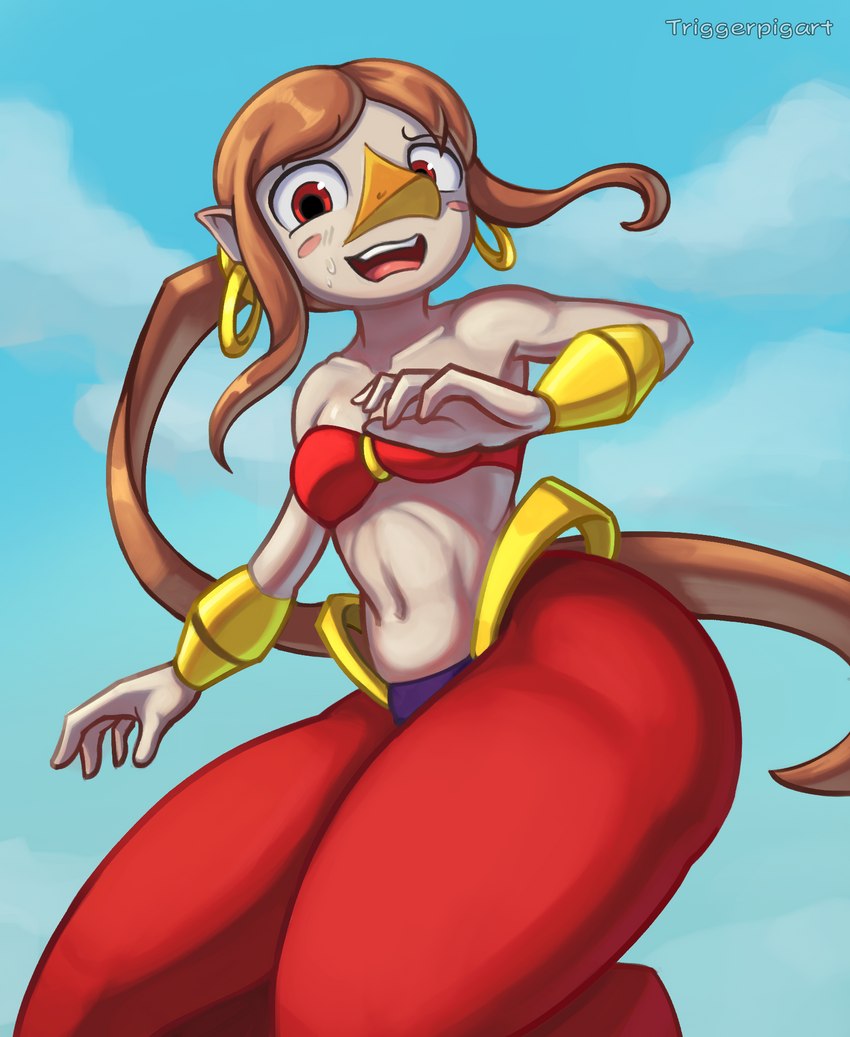 bandeau beak breasts brown_hair clothing cloud cosplay crossover_cosplay day ear_piercing ear_ring female hair humanoid_pointy_ears light_body light_skin long_hair midriff open_mouth piercing pointy_ears ponytail ring_piercing simple_background small_breasts solo topwear triggerpigart nintendo shantae_(series) the_legend_of_zelda wayforward wind_waker medli shantae animal_humanoid avian avian_humanoid humanoid rito rito_humanoid 2023 crossover hi_res signature