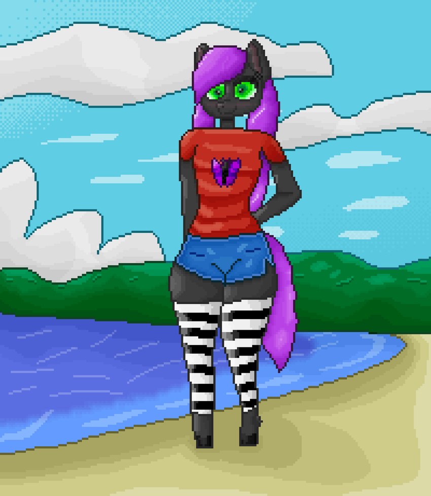 anthro anthrofied beach black_body black_fur bottomwear clothing denim denim_bottomwear denim_clothing denim_shorts detailed_background femboy footwear fur green_eyes hair lake legwear looking_at_viewer male pattern_clothing pattern_footwear pattern_legwear pattern_socks purple_hair red_clothing red_shirt red_topwear shirt shorts socks solo striped_clothing striped_footwear striped_socks stripes thigh_highs topwear kilgorio hasbro my_little_pony fan_character lucy_violetmane earth_pony equid equine horse mammal pony digital_media_(artwork) full-length_portrait hi_res pixel_(artwork) portrait