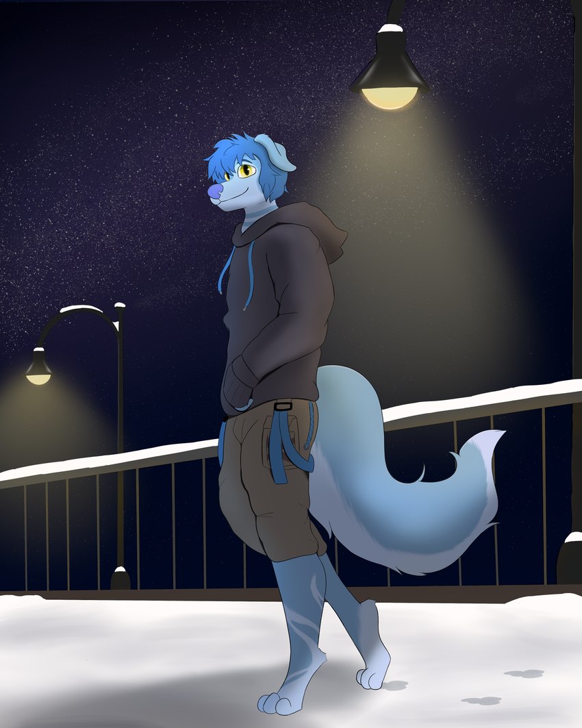 anthro blue_body blue_ears blue_hair blue_nose blue_tail bottomwear brown_bottomwear brown_clothing brown_pants clothing footprint front_view hair hoodie looking_at_viewer male night pants pawprint shadow snow solo star street_lamp tail topwear yellow_eyes yellow_light tealmode fan_character canid canine canis domestic_dog mammal 4:5 absurd_res hi_res huge_filesize