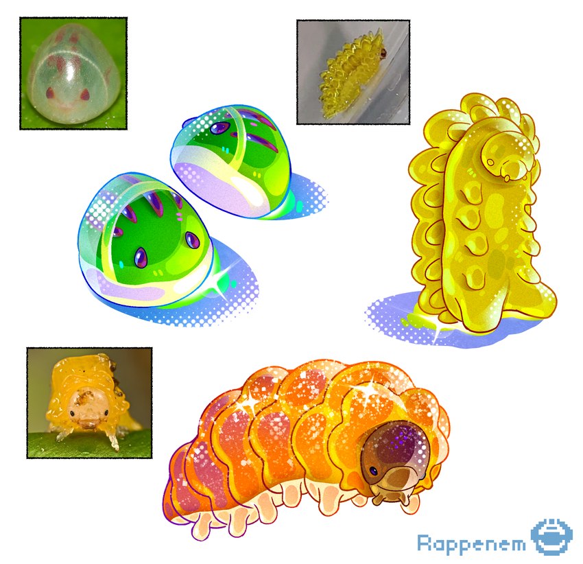 ambiguous_gender candy dessert feral food glistening glistening_body gummy_(food) larva reference_image simple_background white_background rappenem arthropod caterpillar food_creature gummy_creature insect living_candy clip_studio_paint_(artwork) digital_media_(artwork) hi_res