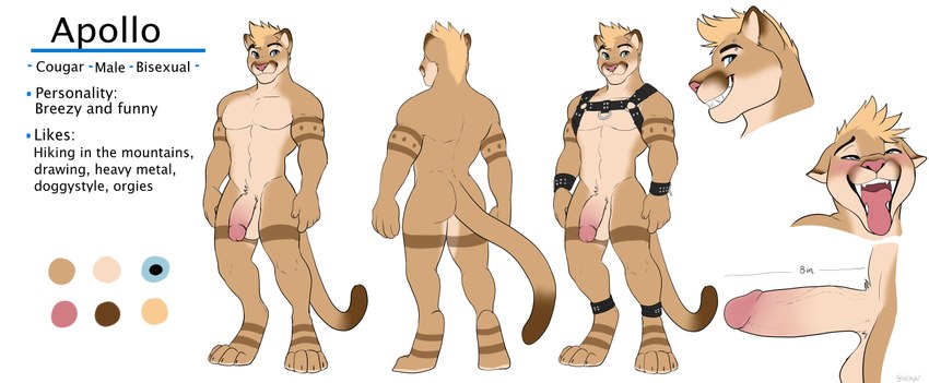 apollo the cougar created by seibear