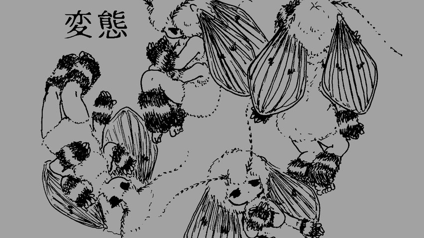 4_arms 6_limbs antennae_(anatomy) group insect_wings multi_arm multi_limb text wings wings_on_head citrus_fossil animal_humanoid arthropod arthropod_humanoid drain_fly fly_(animal) fly_humanoid humanoid insect insect_humanoid 16:9 2021 japanese_text line_art monochrome widescreen