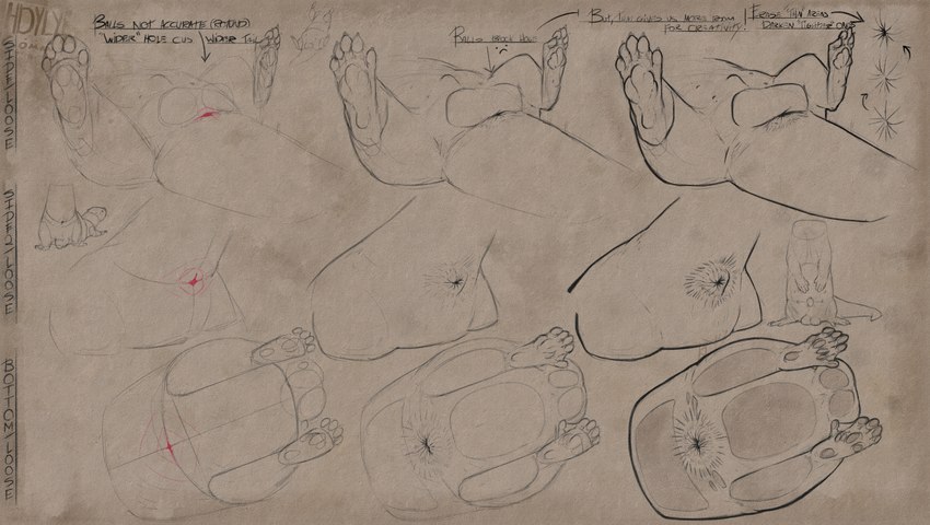 against_surface all_fours anal anatomically_correct anatomically_correct_anus anatomically_correct_genitalia anatomy animal_genitalia anus ass_up backsack balls bent_over big_balls big_butt big_tail butt butt_focus curvy_figure detailed_anus diagram dialogue digitigrade feet feral front_view fur furry_tail gaped gaping genitals head_down_ass_up high-angle_view hindpaw long_tail looking_at_viewer looking_back looking_back_at_viewer loose_anus loose_orifice low-angle_view male male_feral monotone_body monotone_fur nude nude_feral nude_male on_ground pawpads paws perineum presenting presenting_hindquarters quadruped raised_tail rear_view sheath small_anus solo spreading tail text textured_font thick_tail thick_thighs three-quarter_view underside_view wide_hips worm's-eye_view hdyly asian_small-clawed_otter mammal mustelid otter 2024 character_request digital_drawing_(artwork) digital_media_(artwork) english_description english_text guide_lines hi_res shaded sketch