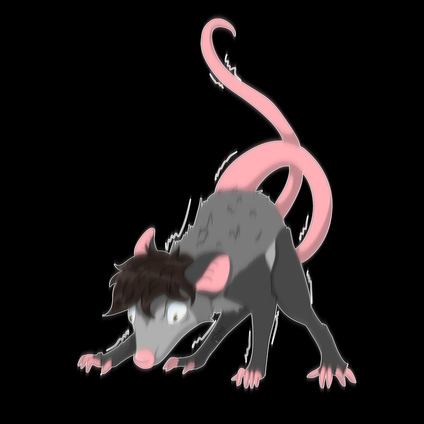 5_toes ambiguous_gender angry brown_hair feet feral fur green_eyes grey_body grey_fur grey_markings hair humor markings raised_fur raised_tail shaking simple_background solo tail text toes transparent_background zer0rebel4 discord_(app) patreon telegram american_opossum mammal marsupial virginia_opossum 1:1 2024 absurd_res alpha_channel hi_res meme url trans_(lore) trans_man_(lore)