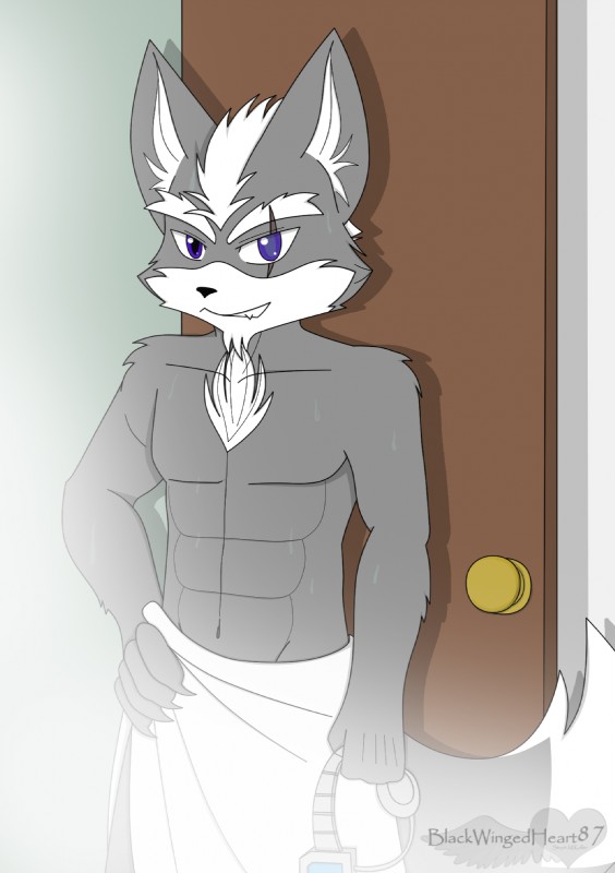 anthro bath biceps hair looking_at_viewer male muscular muscular_anthro muscular_male pecs pose smile solo towel towel_around_waist towel_only white_hair blackwingedheart87 nintendo star_fox wolf_o'donnell canid canine canis mammal wolf 2009 hi_res