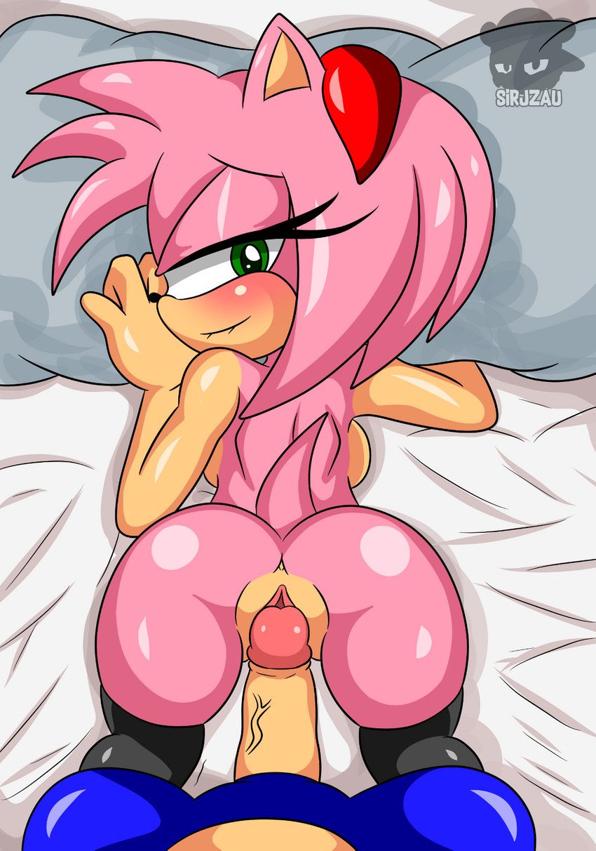 amy rose and sonic the hedgehog (sonic the hedgehog (series) and etc) created by sirjzau