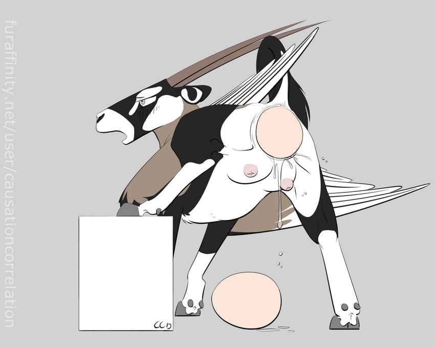 egg female feral hooves horn hyper_egg hyper_oviposition non_oviparous_oviposition open_mouth oviposition quadruped rear_view solo tail teats causationcorrelation antelope bovid grazing_antelope mammal oryx 5:4