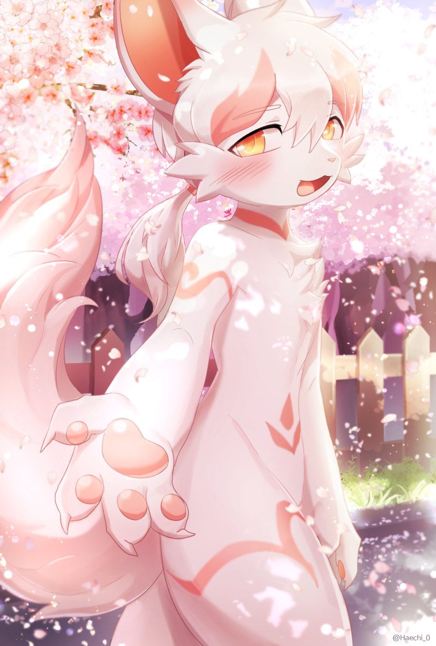 ambiguous_anthro ambiguous_gender anthro blush casual_nudity cheek_tuft cherry_blossom cherry_tree chest_tuft dappled_light detailed_background facial_tuft falling_petals fence flower fruit_tree hair kemono looking_at_viewer offering_hand outside petals plant ponytail prunus_(flower) public public_nudity raised_tail road solo standing tail tree tuft white_flower white_hair wind wood wood_fence yellow_eyes haechi_0 sia_(gofkdcb) canid canine fox mammal 2022 absurd_res hi_res portrait three-quarter_portrait