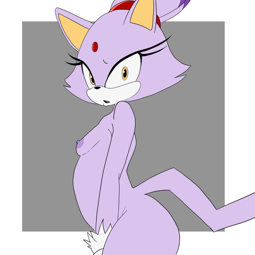 anthro breasts butt female forehead_gem gem looking_at_viewer nipples nude small_breasts solo yellow_eyes inuyuru sega sonic_the_hedgehog_(series) blaze_the_cat domestic_cat felid feline felis mammal 1:1 2022 absurd_res hi_res