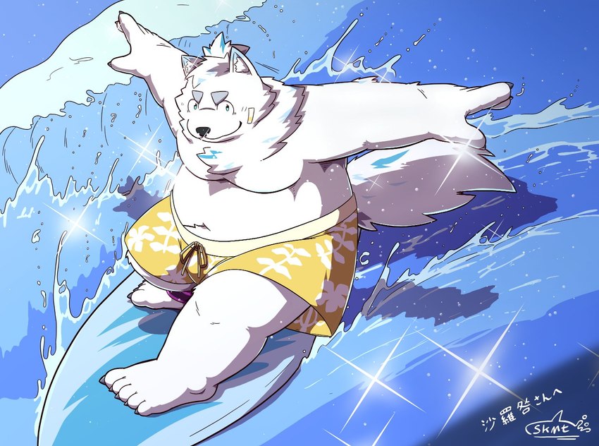 anthro belly bottomwear clothing fur kemono male moobs overweight overweight_male shorts solo surfboard surfing swimwear water white_body white_fur shachi_ojisan lifewonders live_a_hero yohack canid canine canis domestic_dog mammal 2024